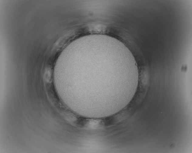X0000112900709200909181936