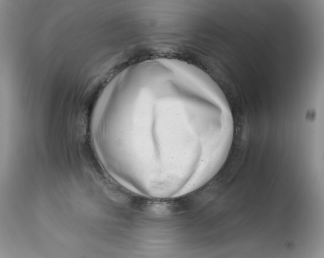 X0000112900710200909181936