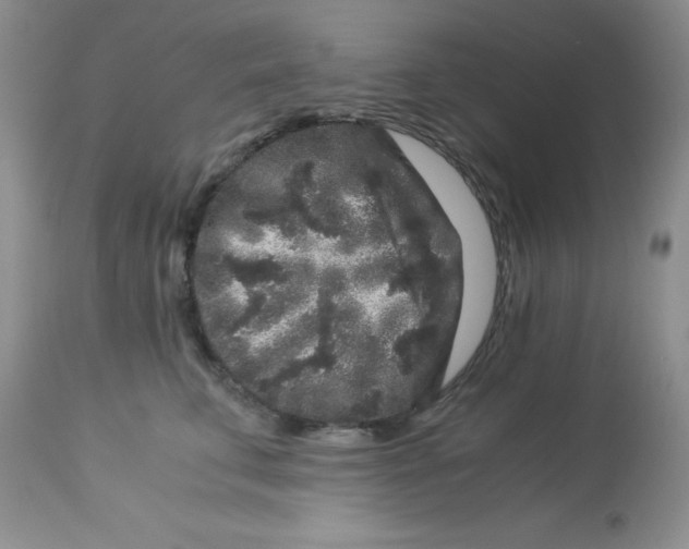 X0000112900711200909181936
