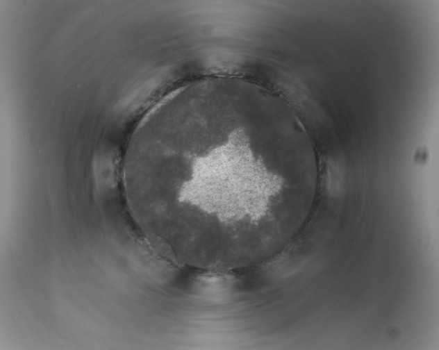 X0000112900712200909181936