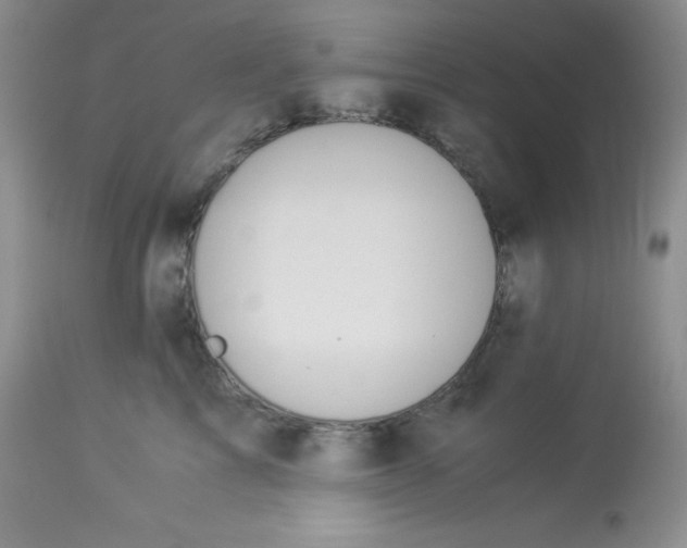 X0000112900713200909181936