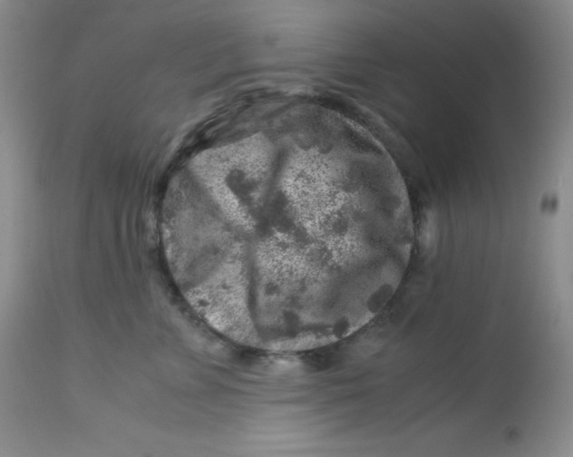 X0000112900715200909181936
