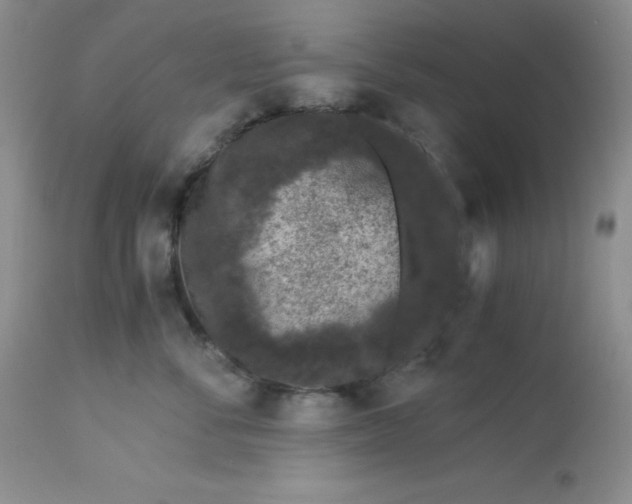 X0000112900716200909181936