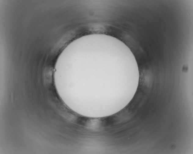 X0000112900717200909181936