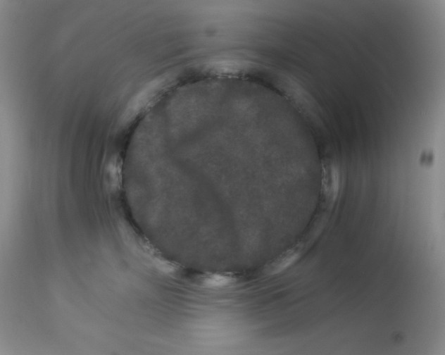 X0000112900718200909181936