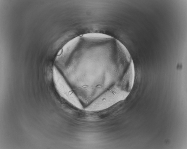 X0000112900719200909181936