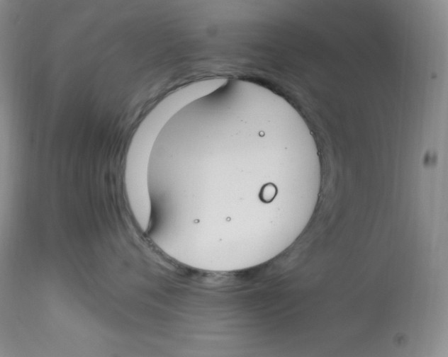 X0000112900720200909181936