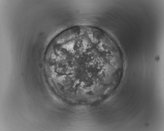 X0000112900721200909181935