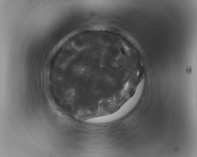 X0000112900722200909181935