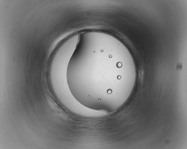 X0000112900724200909181935