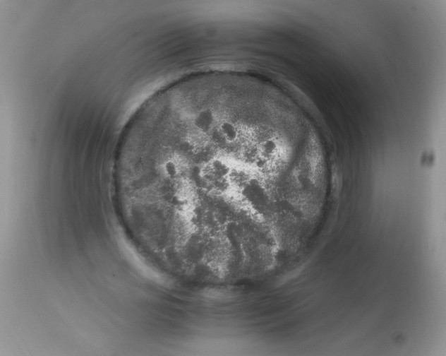 X0000112900725200909181935