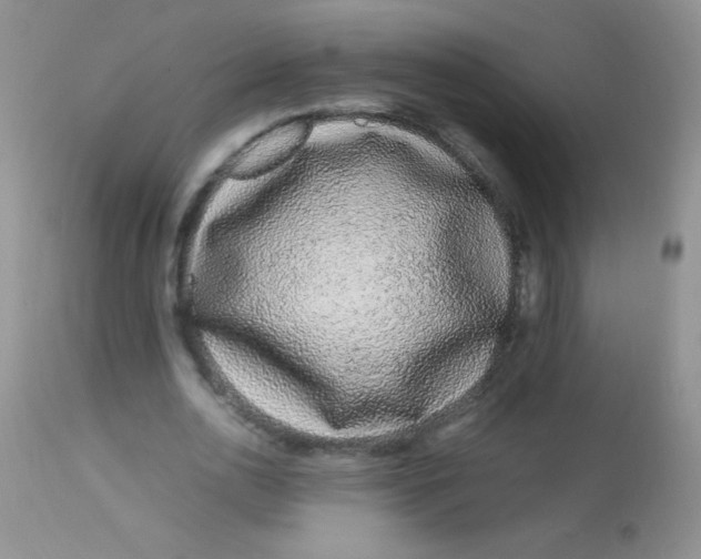 X0000112900726200909181935