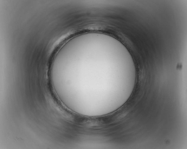 X0000112900727200909181935