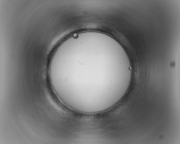 X0000112900728200909181935