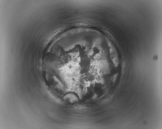 X0000112900729200909181935