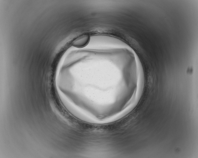 X0000112900730200909181935