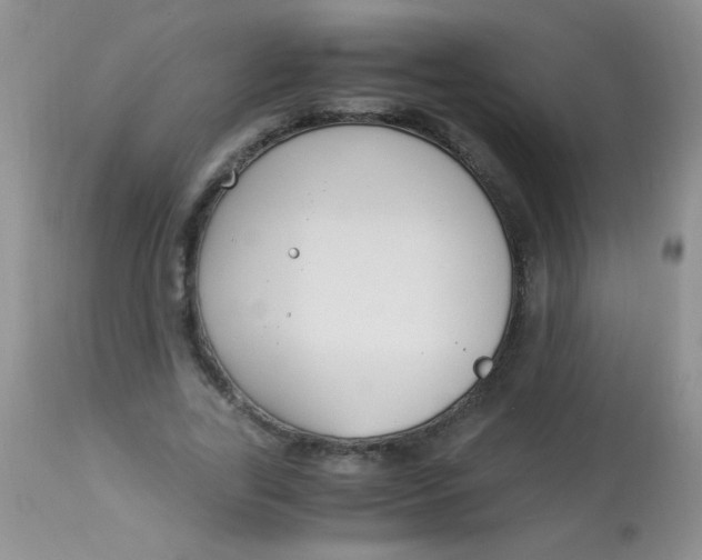 X0000112900731200909181935