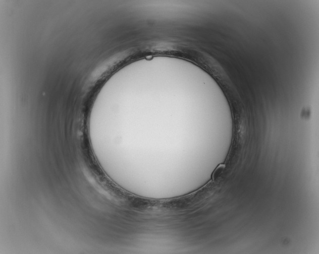 X0000112900732200909181935