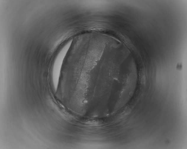 X0000112900735200909181935