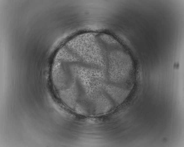 X0000112900736200909181935