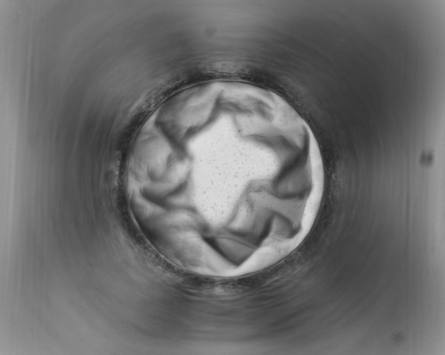 X0000112900739200909181935