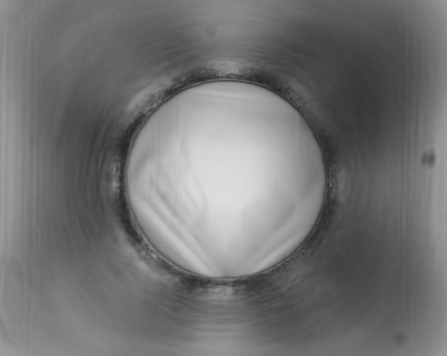 X0000112900740200909181935