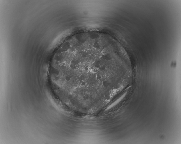 X0000112900742200909181935