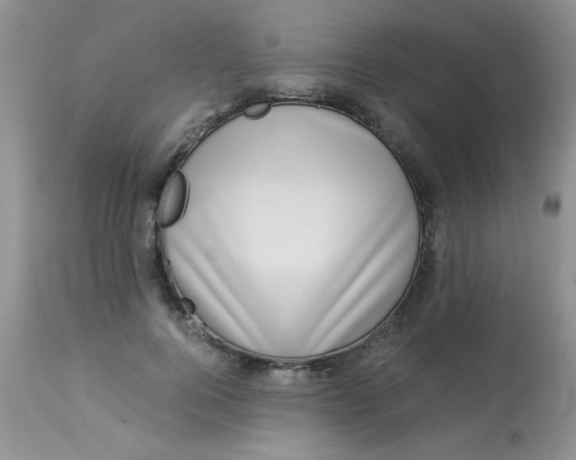 X0000112900744200909181935