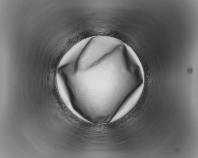 X0000112900745200909181935