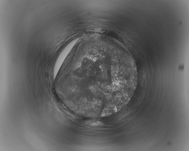 X0000112900747200909181935
