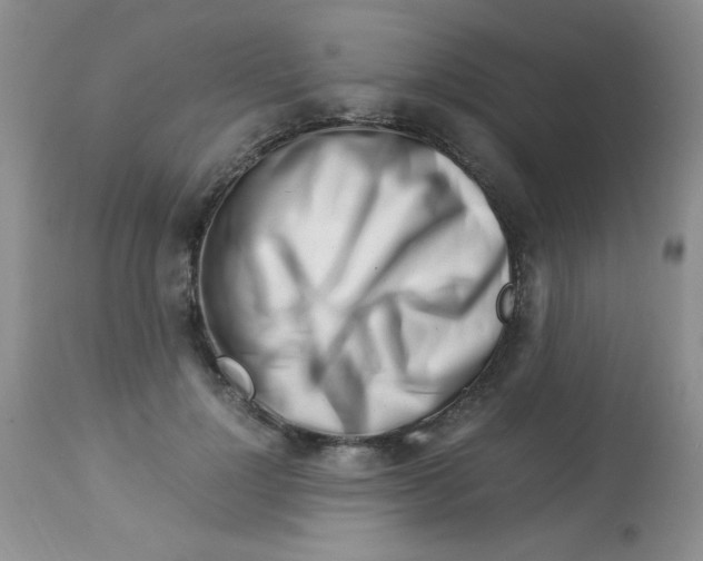 X0000112900748200909181935
