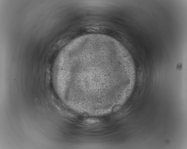 X0000112900749200909181935