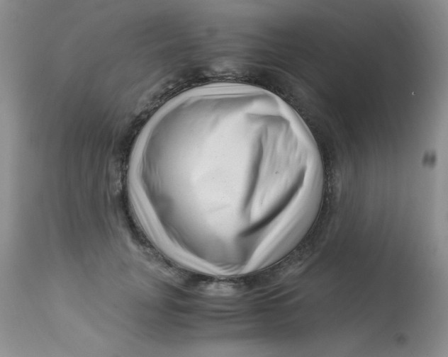 X0000112900751200909181935