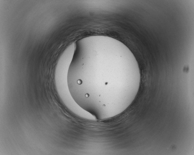 X0000112900752200909181935