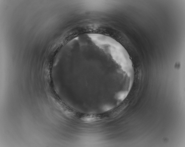 X0000112900754200909181935