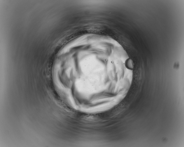 X0000112900755200909181935