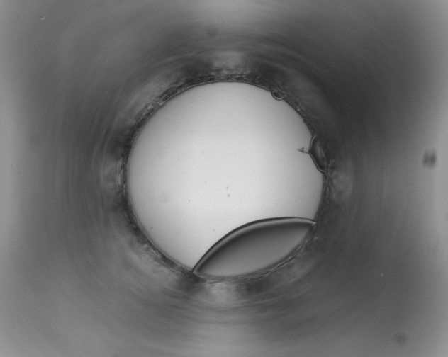 X0000112900756200909181935
