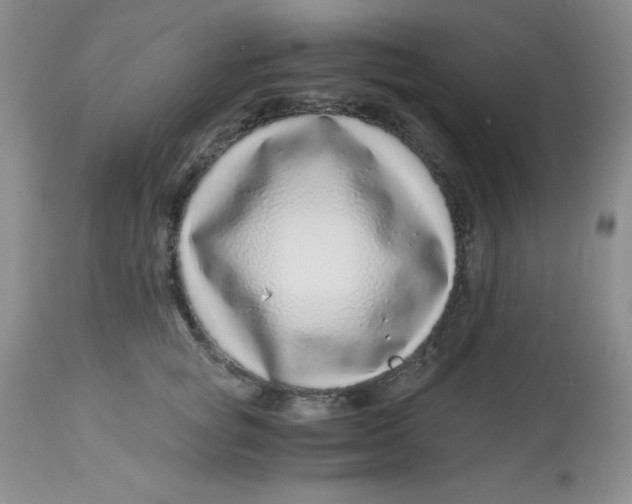 X0000112900757200909181935