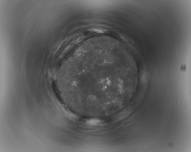 X0000112900759200909181935