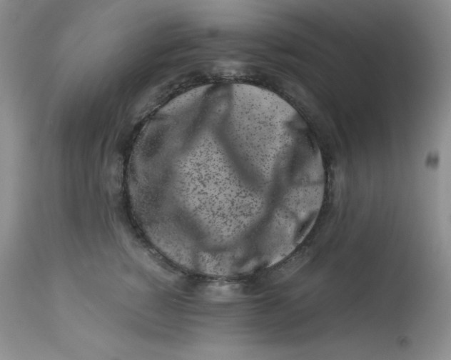 X0000112900760200909181935