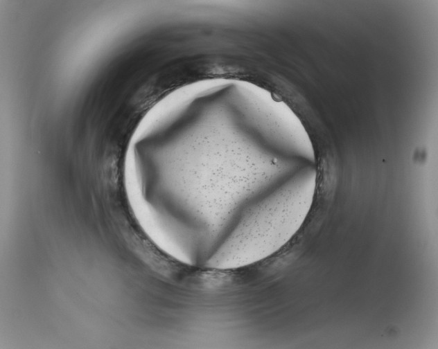 X0000112900762200909181935