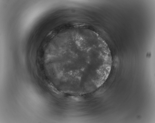 X0000112900763200909181935