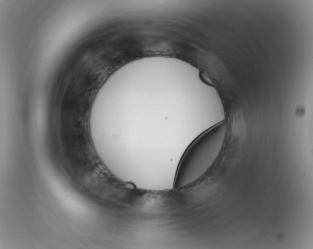 X0000112900764200909181935