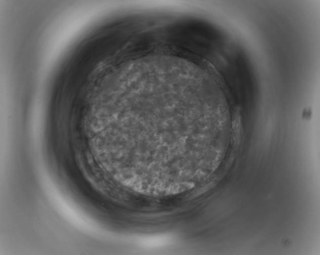 X0000112900765200909181936