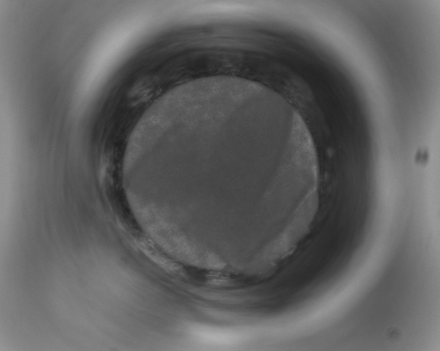 X0000112900766200909181936