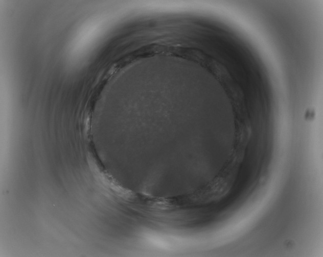 X0000112900767200909181936