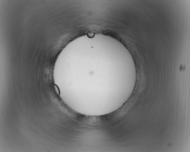X0000112900768200909181936
