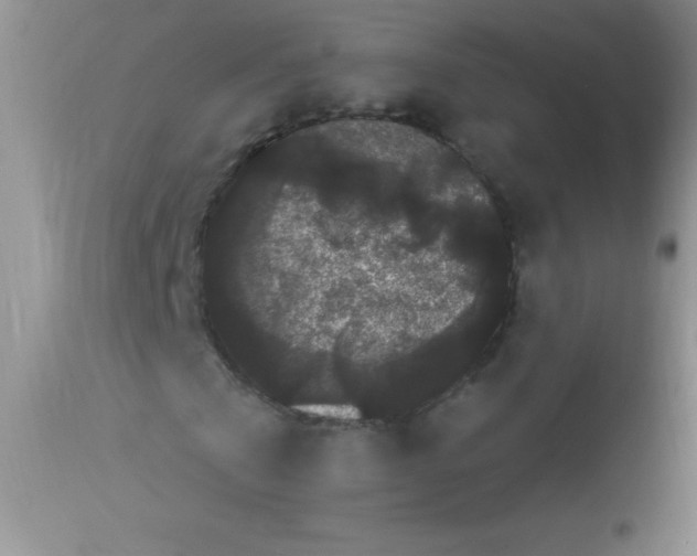 X0000112900769200909181935
