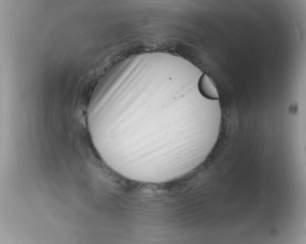 X0000112900770200909181935