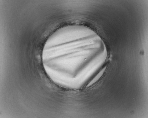 X0000112900771200909181935